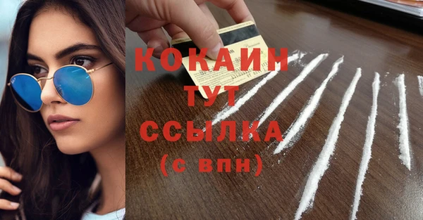гидра Володарск