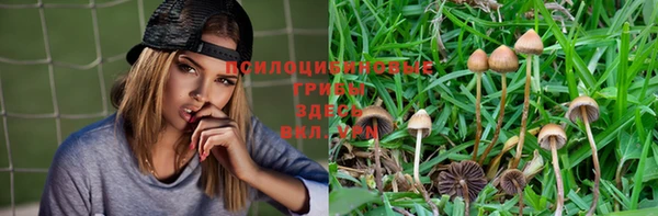 ПСИЛОЦИБИНОВЫЕ ГРИБЫ Белокуриха