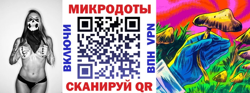 Псилоцибиновые грибы Psilocybine cubensis  как найти наркотики  Волосово 